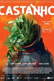 Poster do filme Castanho