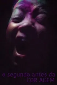 Poster do filme O Segundo Antes da Coragem