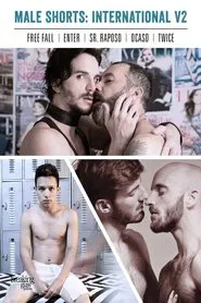 Male Shorts: International V2 movie poster