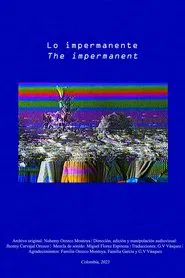 Lo impermanente movie poster