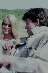 One Summer in Somerset movie poster