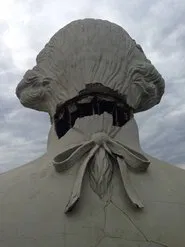 All the Presidents' Heads movie poster