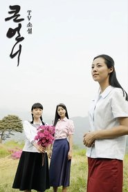 큰언니 tv show poster