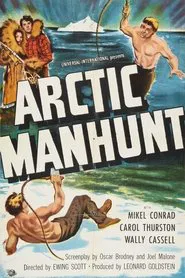 Arctic Manhunt movie poster