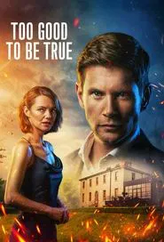 Too Good to Be True tv show poster