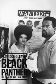 Eldridge Cleaver, Black Panther movie poster