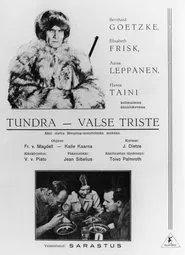 Poster do filme Erämaan turvissa