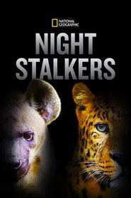 Night Stalkers tv show poster