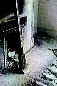 Audio and Visual Experiment 17 movie poster