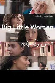 Big Little Women movie poster