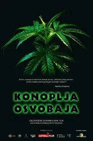Cannabis Sets You Free movie poster