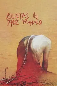 Ticket to the Taj Mahal movie poster