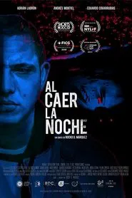 Poster do filme After Dark