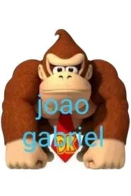 JOAO GABRIEL PILOTO movie poster