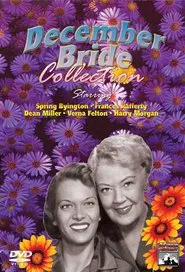 Poster da série December Bride