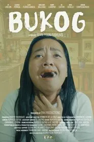 Basket movie poster
