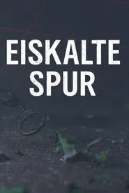 Eiskalte Spur tv show poster