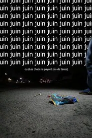 Poster do filme Juin ou  (Les chats ne payent pas de taxes)