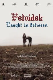 Poster do filme Felvidek – Caught in Between