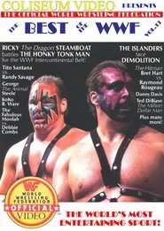 Poster do filme The Best of the WWF: volume 13