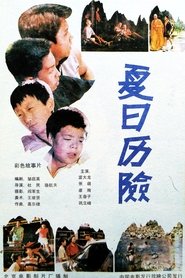 夏日历险 movie poster