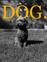 Dog (The Mockumentary) movie poster