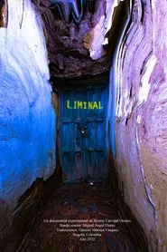 Liminal movie poster