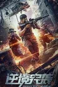 Adversity Raid movie poster