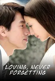 Loving, Never Forgetting tv show poster