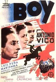 Poster do filme Boy