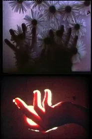 Poster do filme Rouges Silences