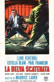 The Tiger Attacks movie poster