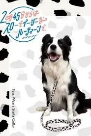 Poster da série スローでイージーなルーティーンで