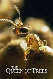 The Queen of Trees movie poster