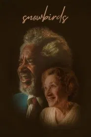 Snowbirds movie poster
