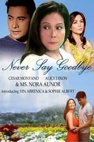 Poster da série Never Say Goodbye