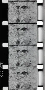 La Source de la Loire movie poster