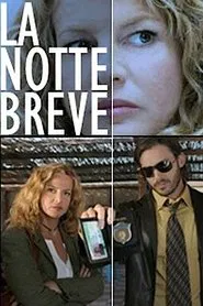 Poster do filme The Short Night