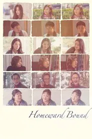 Homeward Bound movie poster
