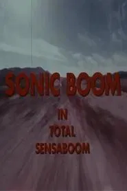 Sonic Boom movie poster