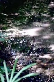 キセキ movie poster