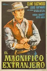 The Magnificent Stranger movie poster