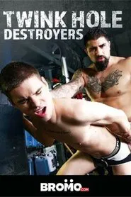 Twink Hole Destroyers movie poster