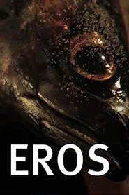 Poster do filme Eros