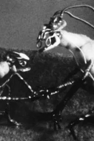 The Space Insect movie poster