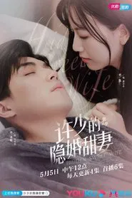 Hidden Sweet Wife tv show poster