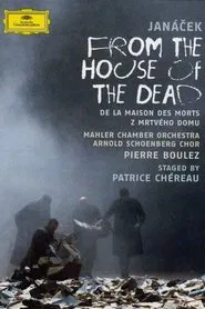 Poster do filme From the House of the Dead