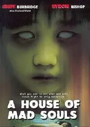A House of Mad Souls movie poster