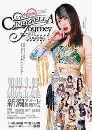 Stardom Cinderella Journey in Nagaoka 2022 movie poster