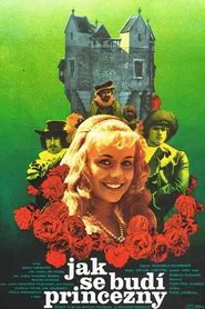 How to Wake a Princess movie poster